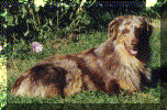 clint1.gif (150023 bytes)